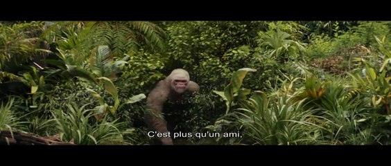 Rampage : hors de contrôle
