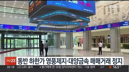 동반 하한가 영풍제지·대양금속 매매거래 정지