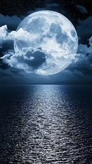 मुलाकात नहीं होती, दिल की बातें हिंदी शायरी 💖