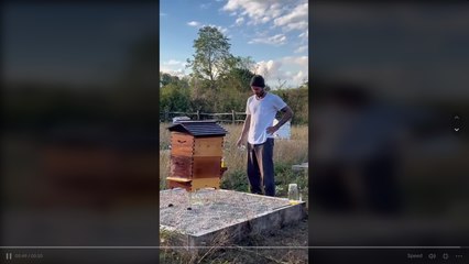 Netflix Beckham Clip Shows David Using Flow Hive 🌟