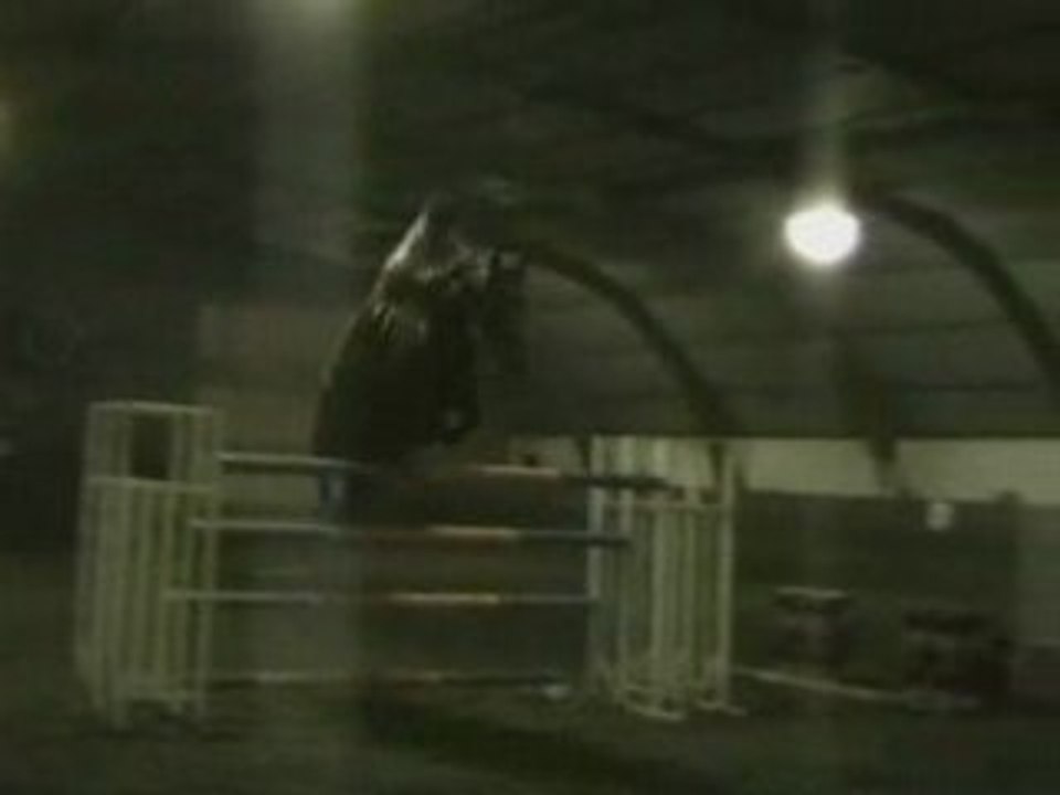 Puissance janvier 2004 à l'Oxer de Seichamps