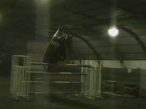 Puissance janvier 2004 à l'Oxer de Seichamps