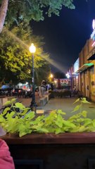Horse Walks Into Dallas Bar