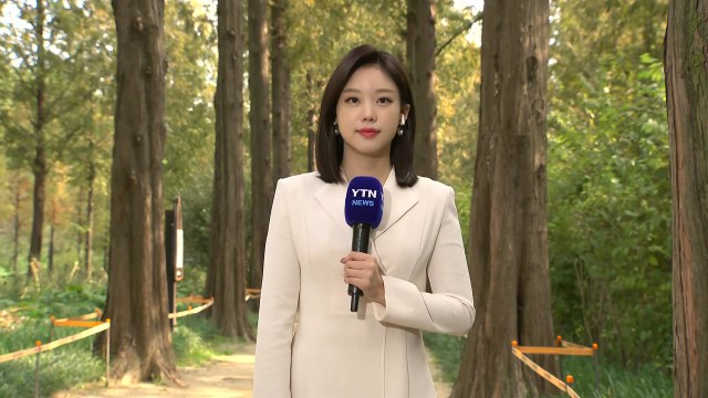 [날씨] 완연한 가을, 큰 일교차 유의...동해안 대기 건조 / YTN