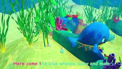 Mom and Baby Blue Whale Lullaby - CoComelon Nursery Rhymes & Kids Songs