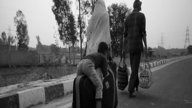 Bheed new movie 2023 | bollywood new movie 2023 | new hindi movie | new hindi action movie | sa joke