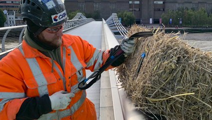 Bale of straw dangles below London bridge in bizarre tradition