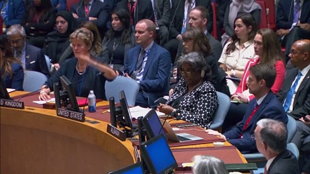 Consejo de Seguridad de ONU rechaza con veto de EEUU resolución sobre conflicto Israel-Hamás