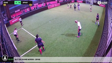 But de Diane Morin - SPAB