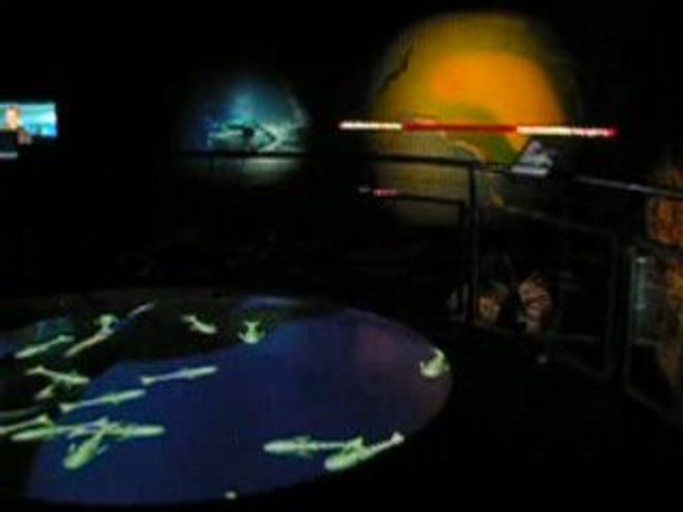 Les Animaux du Futur  - Post-show