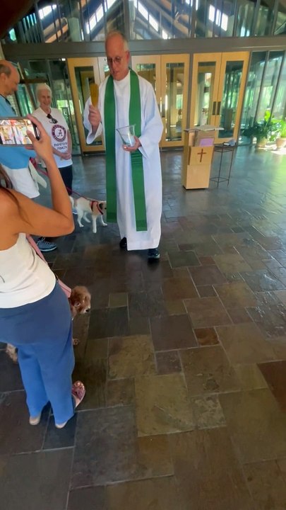 Dogs Receive Pet Blessing