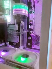 Bug informatique littéral