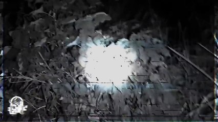 EL VAMPIRO DE LA AMAZONIA PARTE II (Historias De Terror)