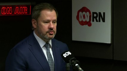 Ed Husic says Palestinians are being 'collectively punished'