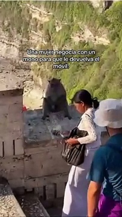 Mujer negocia con mono para recuperar su celular
