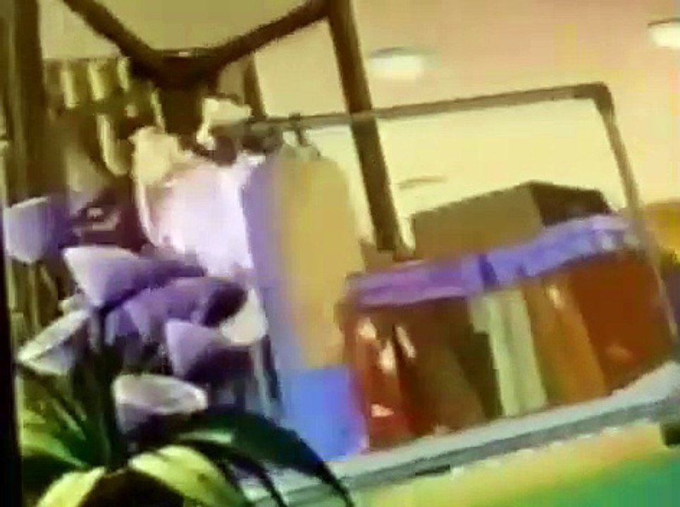 Marsupilami 1993 Marsupilami 1993 E010 Fear of Kites