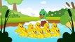 Cincuenta Patitos  Canciones Infantiles Musica para Fiestas NUEVA