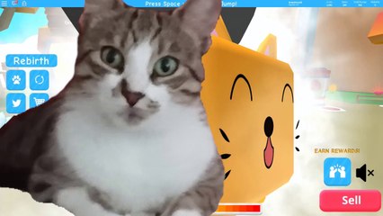 Bebelere Balon | Han Kanal | Roblox Baloon Simulator