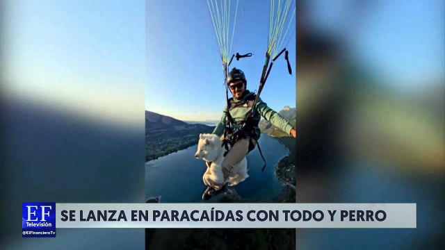 Perrito se lanza en paracaídas