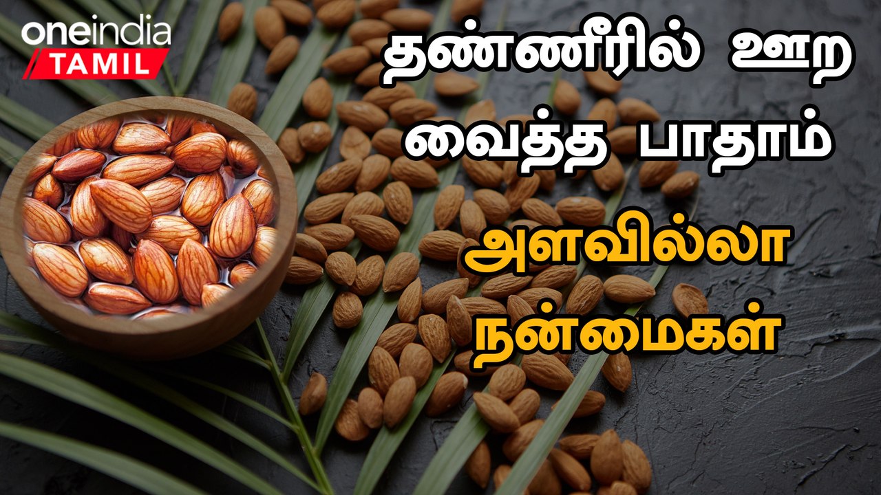 பாதாமில் உள்ள மருத்துவ குணங்கள் Almond Health Benefits in Tamil
