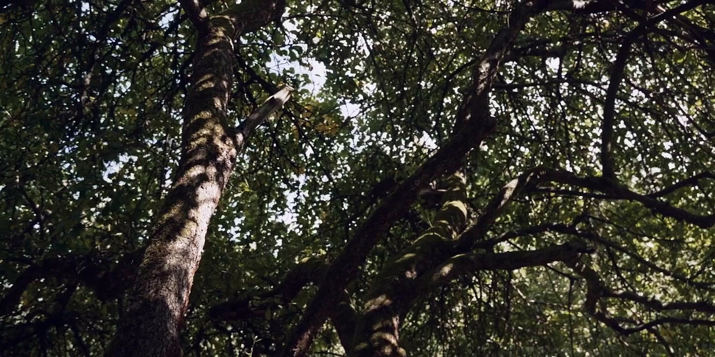 The Visitors Trailer OmeU