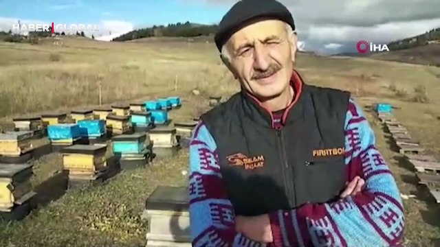 Artvin’de 60 kovanı parçalayan ayı 250 bin liralık zarara neden oldu: Zor bir süreç içine girmiş olduk