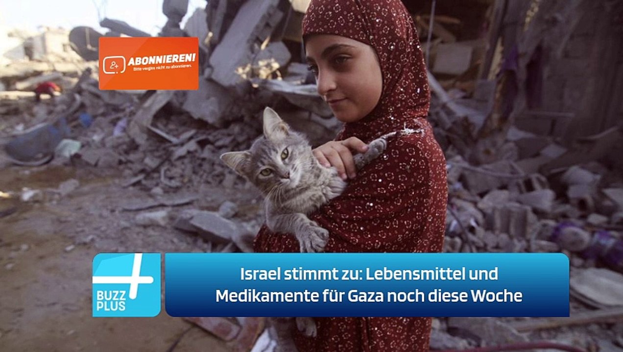 Israel stimmt zu: Lebensmittel und Medikamente für Gaza noch diese Woche