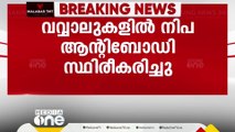 വവ്വാലുകളുടെ സാമ്പിളുകളിൽ നിപ ആന്റിബോഡി സ്ഥിരീകരിച്ചെന്ന് ആരോ​ഗ്യമന്ത്രി