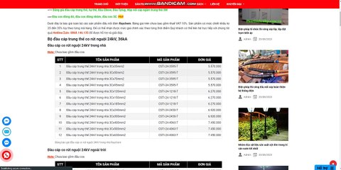 Đầu cáp Raychem - Đại lý phân phối đầu cáp Tplug, Elbow raychem 