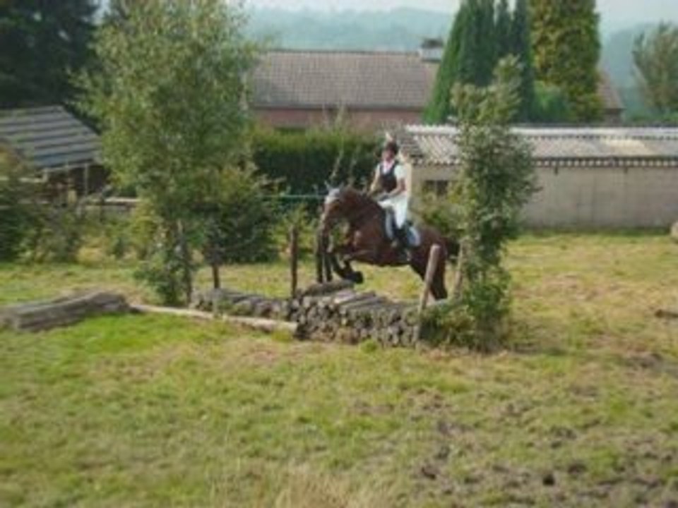 Le Cross