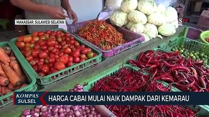 Harga Cabai Mulai Naik Dampak Kemarau