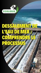 Dessalement de l'eau de mer : comprendre le processus