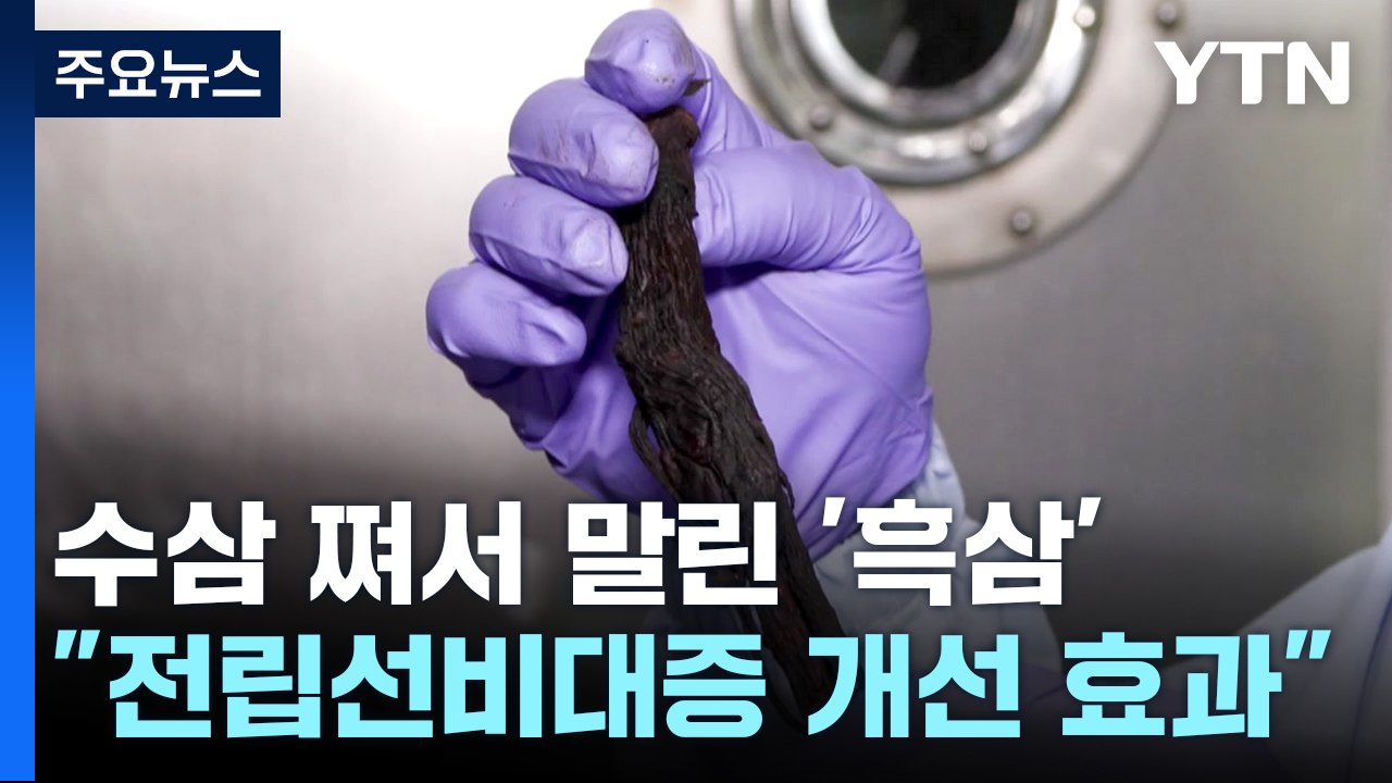[녹색] 수삼 쪄서 말린 '흑삼'..."전립선비대증 개선 효과 톡톡" / YTN