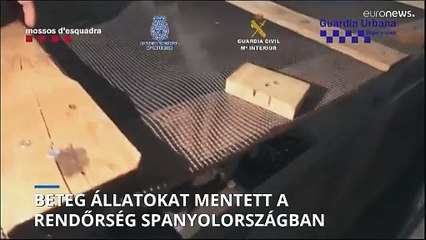 Beteg állatokat mentett a spanyol rendőrség
