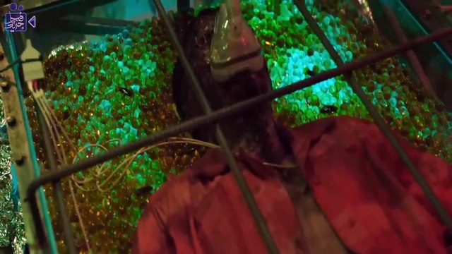 وحش بشري يحاصر عمال سفينة شحن ومعاهم مجرمين خطرين فى عرض البحر Project wolf hunting