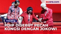 Pecah Kongsi dengan Jokowi dan Gibran, Politikus PDIP: Mulut Kompeni