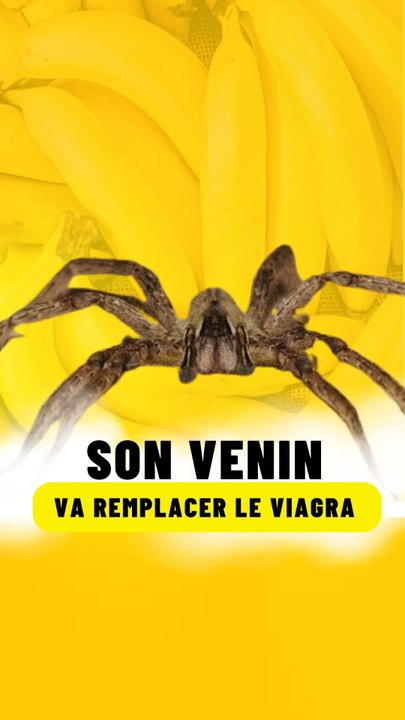 Son venin pourrait remplacer le Viagra