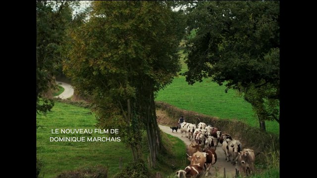 La Rivière Bande-annonce VF