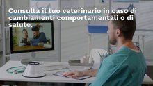 I 100 passi per essere il miglior padrone ti cane e gatti