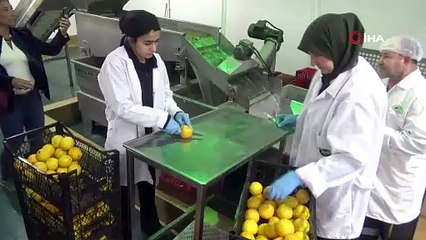 Balıkesir'de üretildi, zeytinyağını hiç böyle tatmadınız: Farklı lezzet arayanların ilgi odağı!