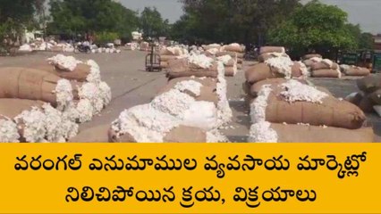 వరంగల్: ఎనుమాముల వ్యవసాయం మార్కెట్లో నిలిచిపోయిన క్రయ విక్రయాలు