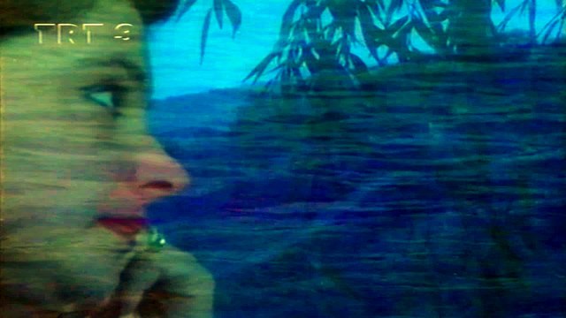 Seçil Ak / Bir ben sevdim gönülden bir de Mecnun ben kadar