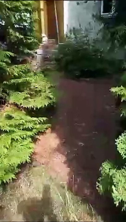 manuels haus mit schloss