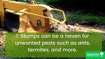 4 Reasons Your Property May Need Stump Grinding Services