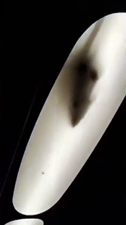 Enorme ratto semina il panico tra i passeggeri del treno