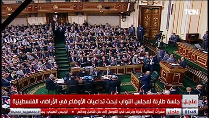 النائب محمد أبو العنين: لا تنازل عن أرض مصر في سيناء ولا تهاون ولا تصفية للقضية الفلسطينية