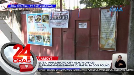 Animal shelter, ipinasara ng City Health Office; mga alaga, pinangangambahang idispatsa sa dog pound | 24 Oras