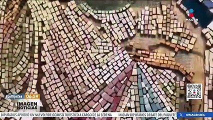 Realizan mural en honor a "Athos" y "Tango", perritos envenenados