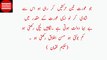Maulana Rumi quotes in urdu | listen to these quotes | Best Urdu Quotes