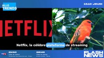 Netflix revoit à la hausse le tarif de certains abonnements dans trois pays, dont la France.
